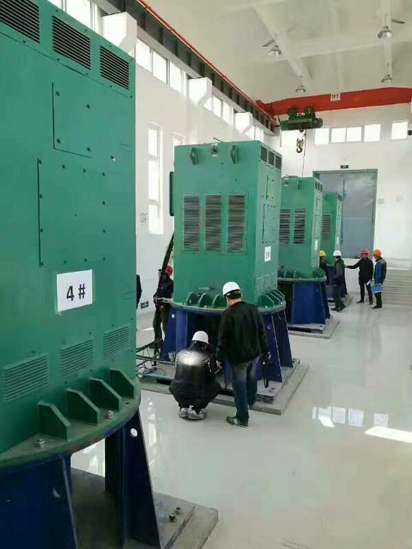 Y630-6某污水处理厂使用我厂的立式高压电机安装现场