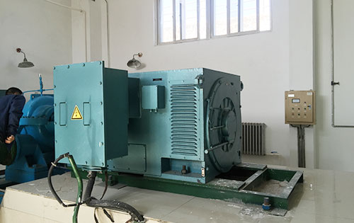 Y630-6某水电站工程主水泵使用我公司高压电机