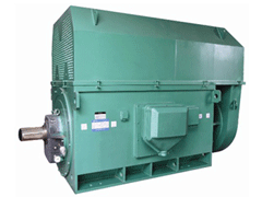 Y630-6Y系列6KV高压电机